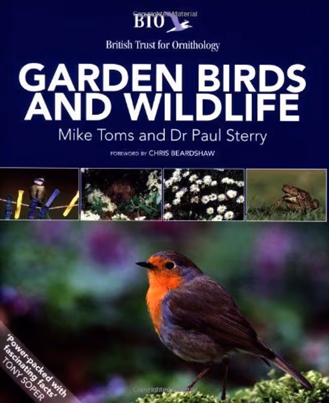 Garden Birds and Wildlife 