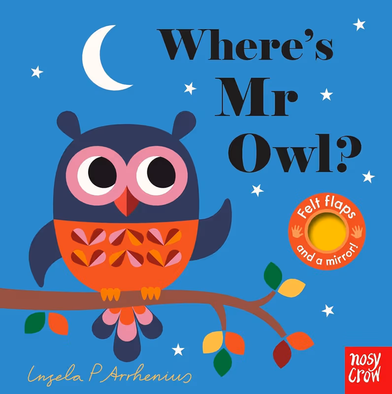 Where's Mr Owl? (Felt Flaps)