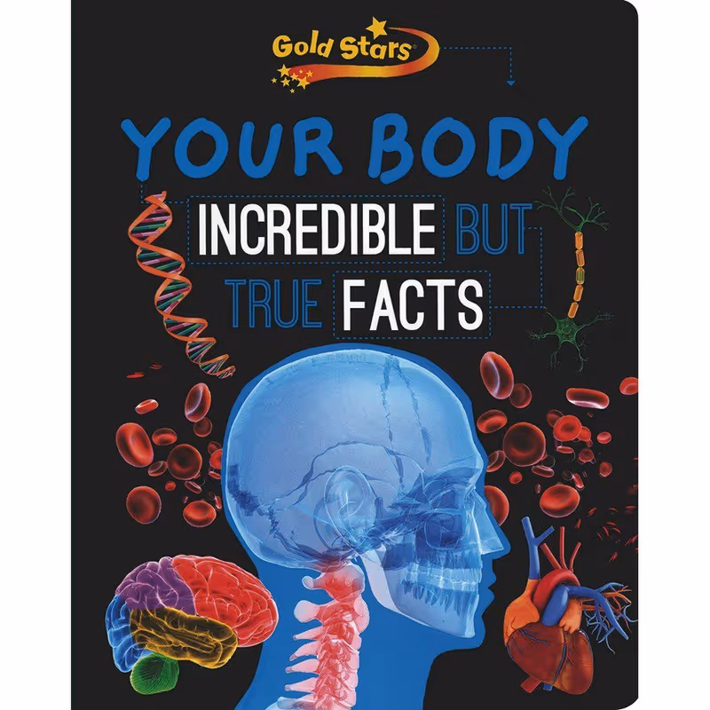 Your Body