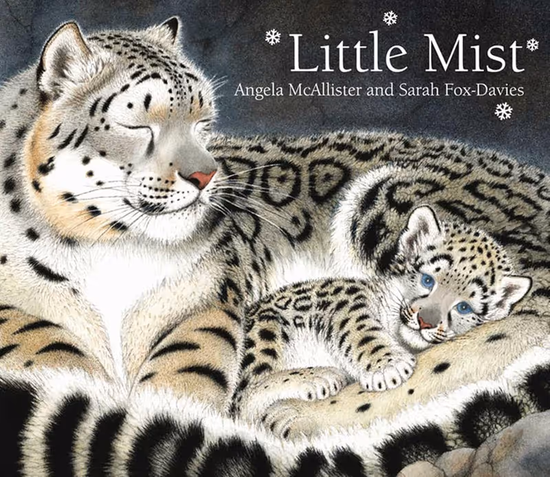 Little Mist - Paperback