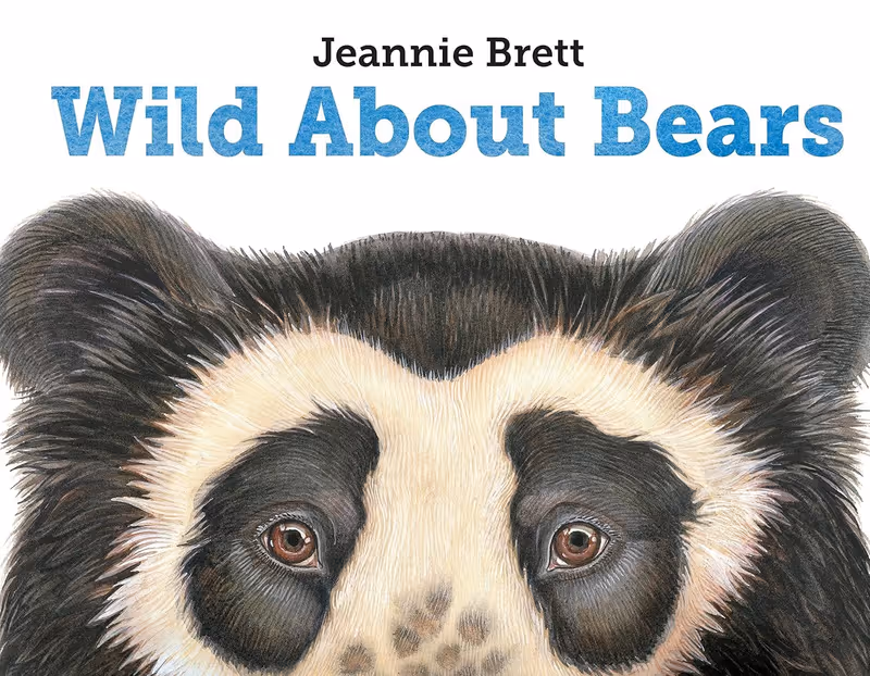 Wild About Bears 