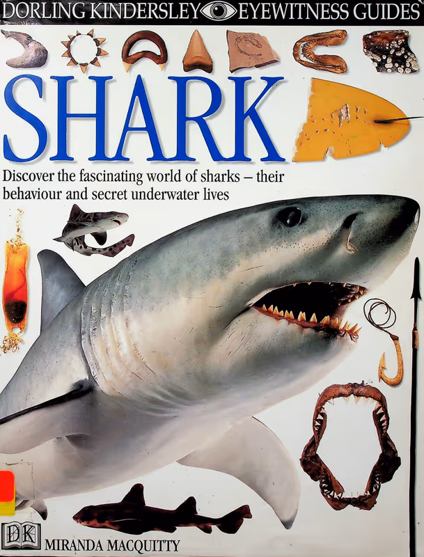 Shark (Eyewitness Guides)