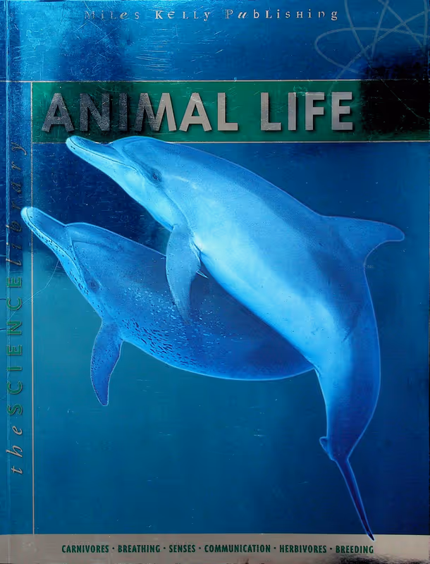 What About... Animal Life
