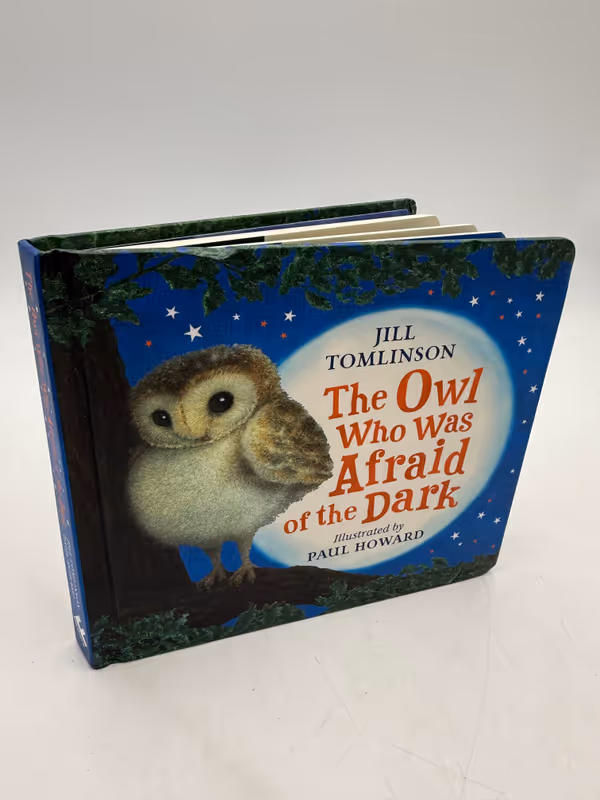 The Owl Who Was Afraid of the Dark Board book 